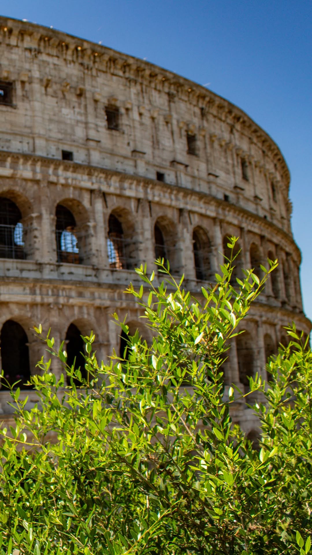 JUSTIN & LINDSAY | Food, Brews, & Outdoor Adventures, Colosseum