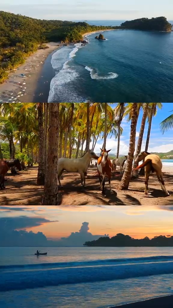 Summer Rent a Car Costa Rica | Car Rental, Parque Nacional Manuel Antonio