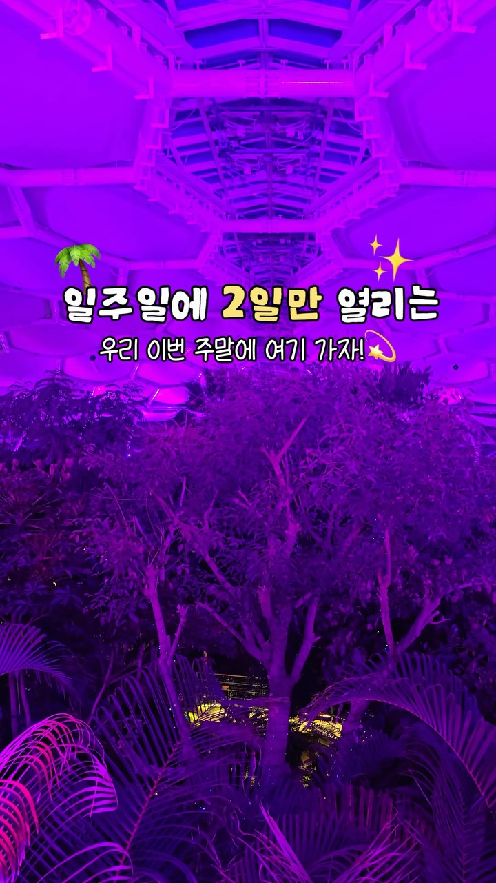 쪼기 | 가족 여행 치트키🔑, United States Botanic Garden