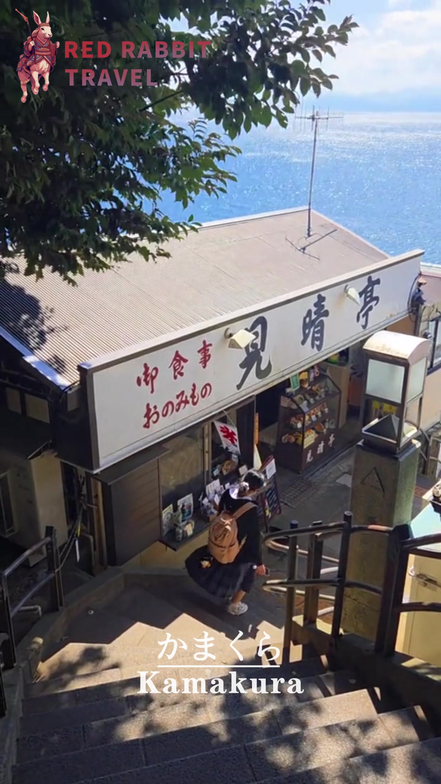 Japan Private Tour 🇯🇵, Kotoku-in