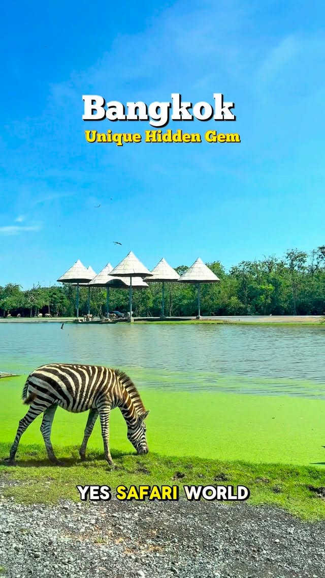 Life in Thailand Now, Safari World Bangkok