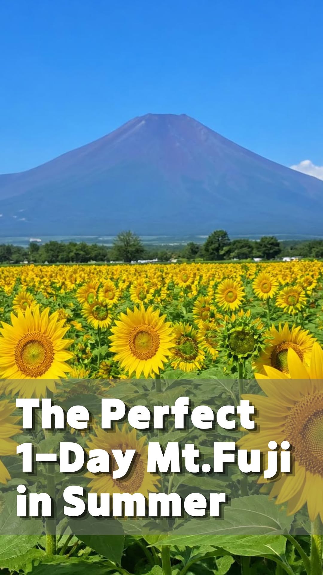 Keiko | Mt. Fuji Wellness Guide, Fujisan Museum