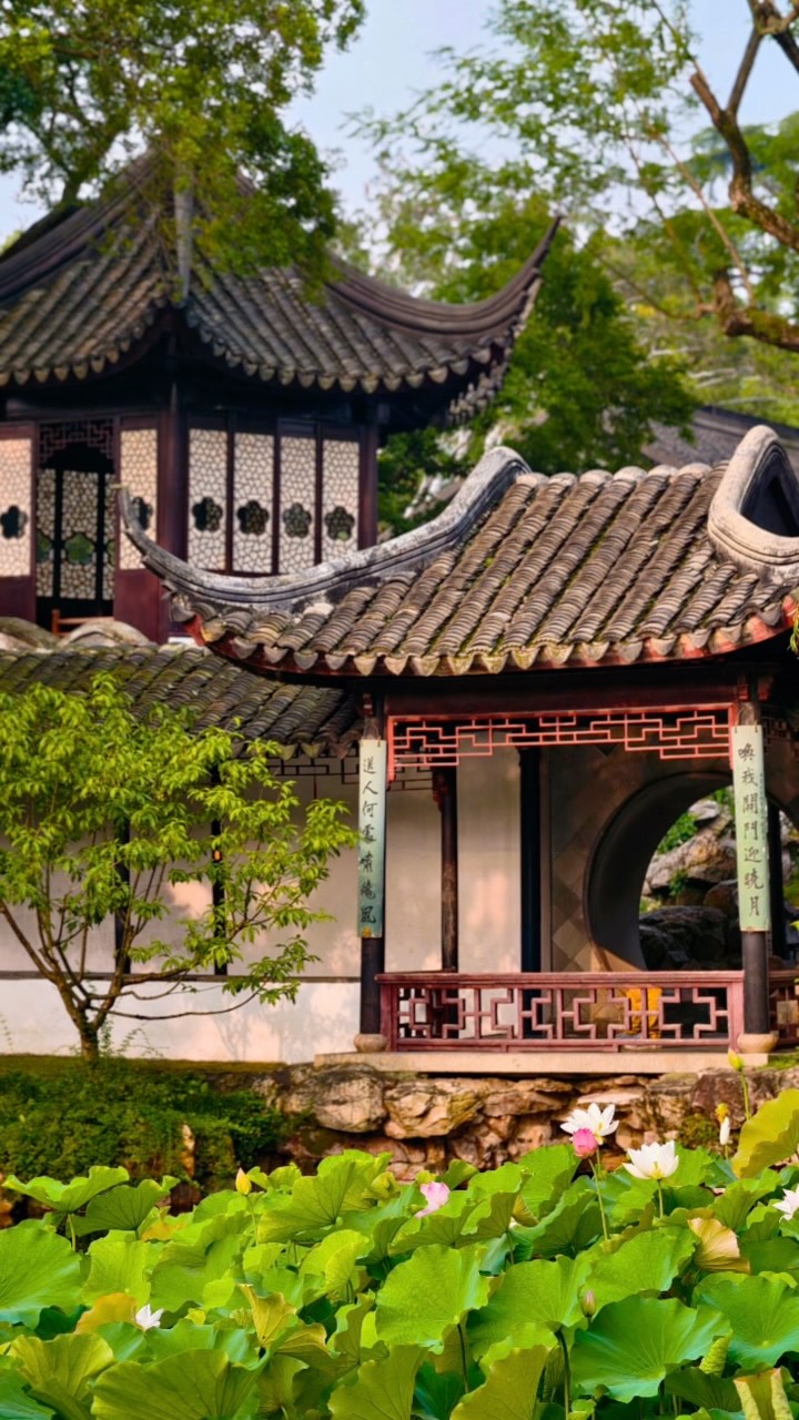 jasmine_pirsch 张恩心, Classical Gardens of Suzhou