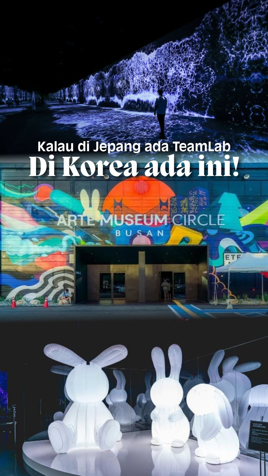 Specialist Private Tour, Arte Museum Yeosu