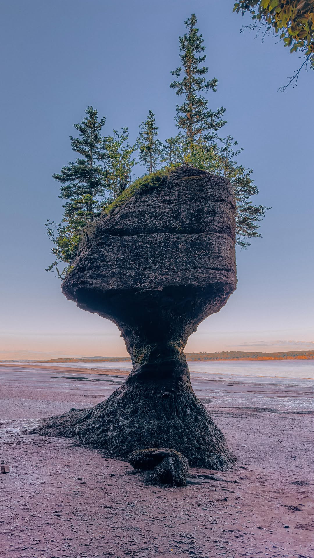 Audrey-Lyne Ferlatte | Outdoors & Adventure, Hopewell Rocks Provincial Park