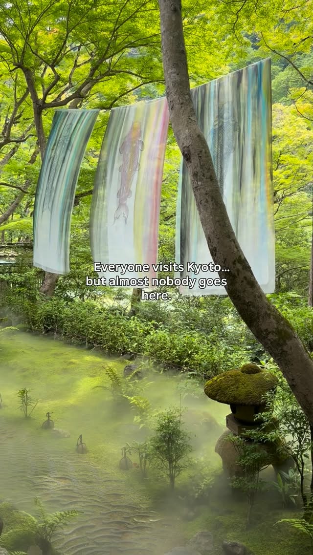 Kate Rowley • Adventure Travel •, Arashiyama Bamboo Forest