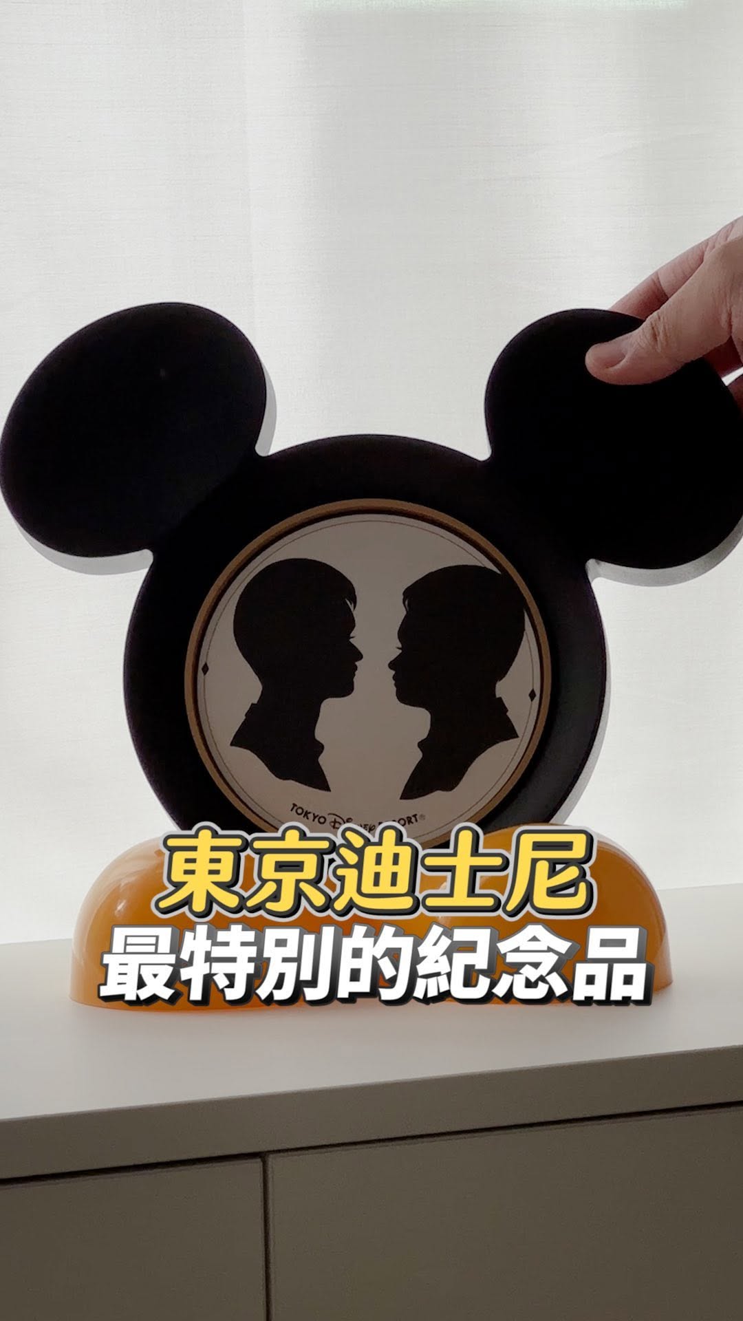 G蛋布丁🥚🍮, Tokyo Disneyland