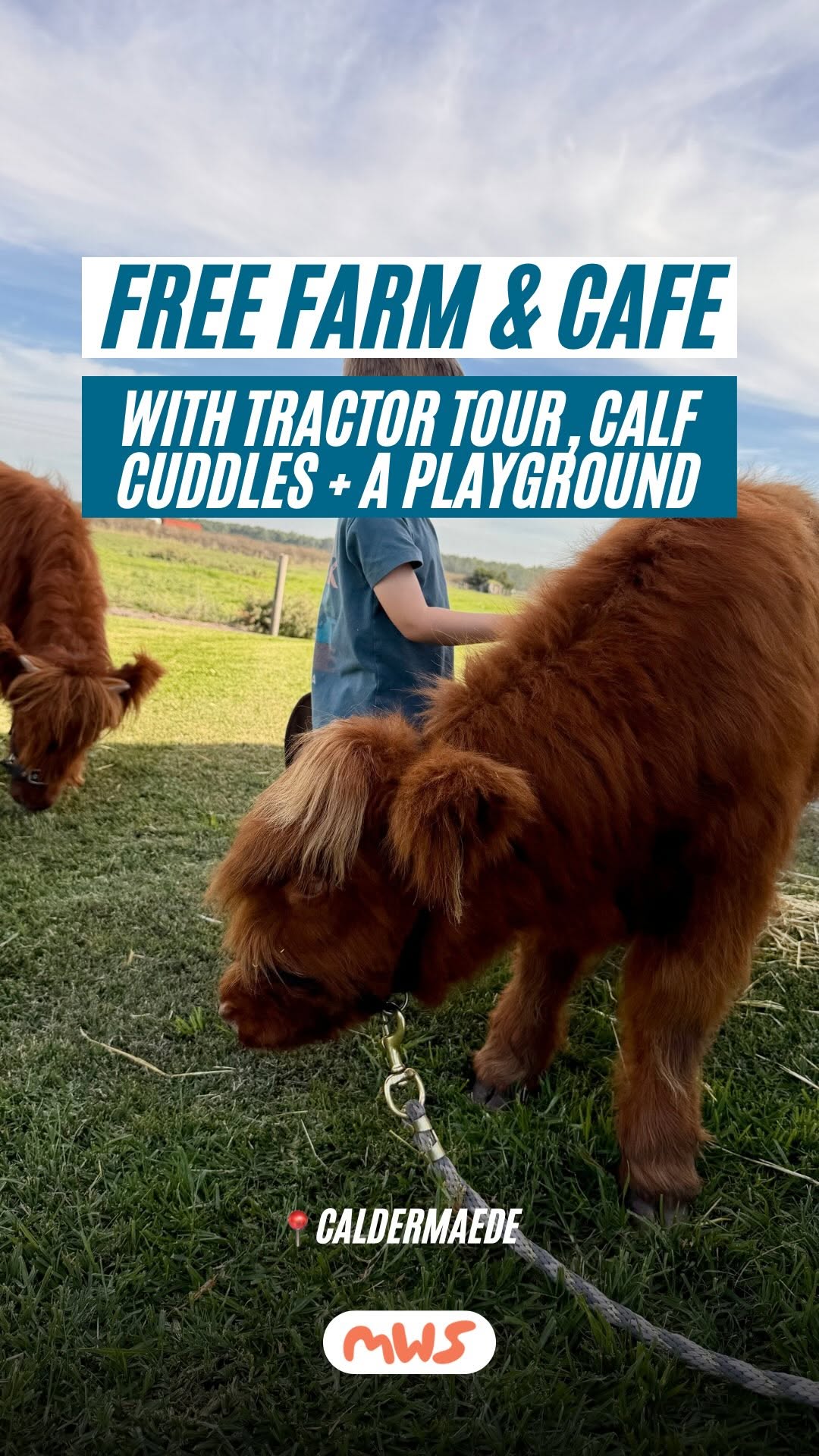 Siri | Melbourne Hotspots • Family-Friendly Things To Do, Phillip Island