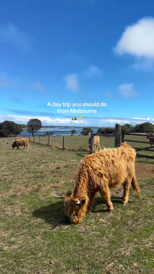 Melissa| Travel & Melbourne 🇦🇺, Phillip Island