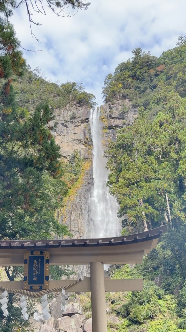 AlexNoKuni, Shingu