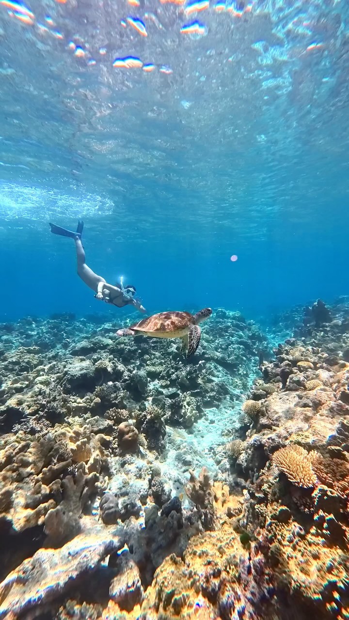 MARIA, Okinawa