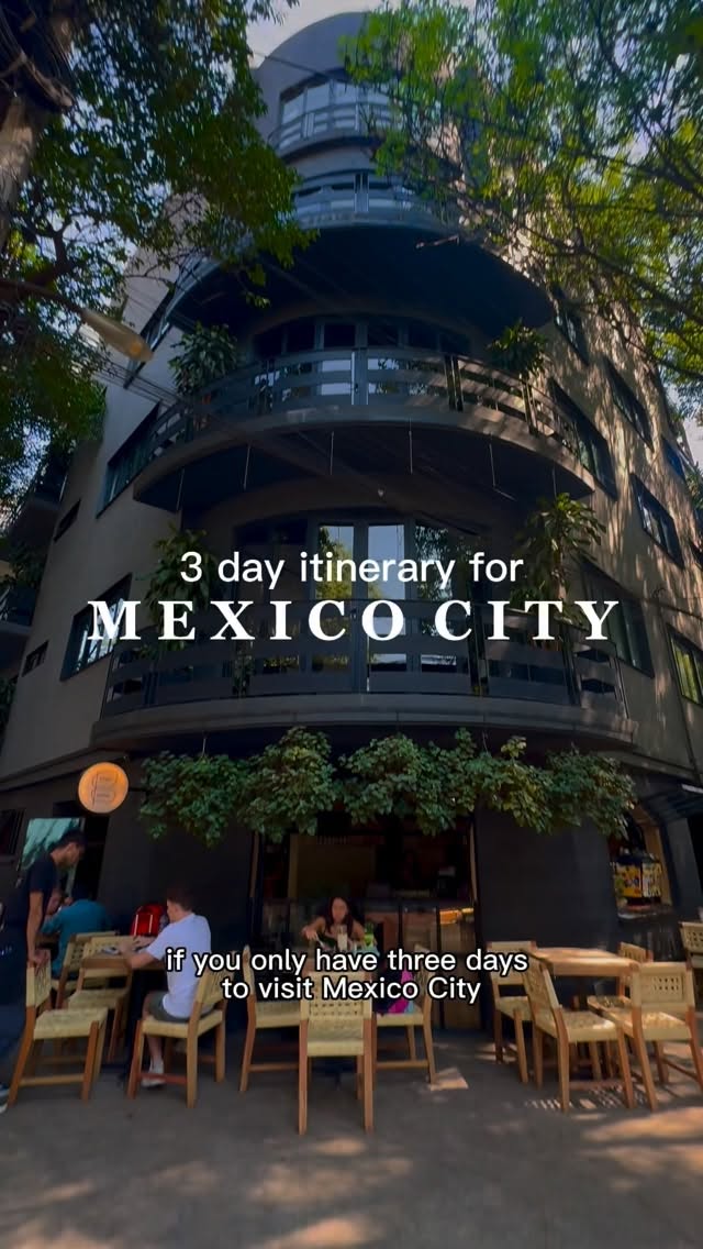 Declan Chapin | Travel + Lifestyle Creator, Zócalo