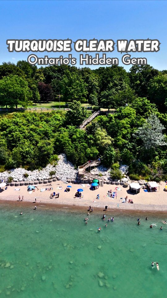 Melissa Haber, Pioneer Park