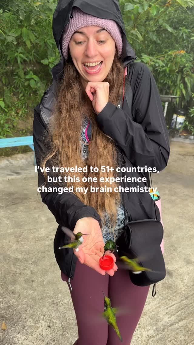 Ali | UGC + Travel Content Creator • Digital Nomad, Quito