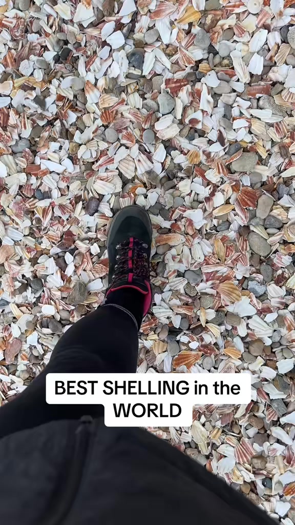 Christine Kesteloo, Sanibel