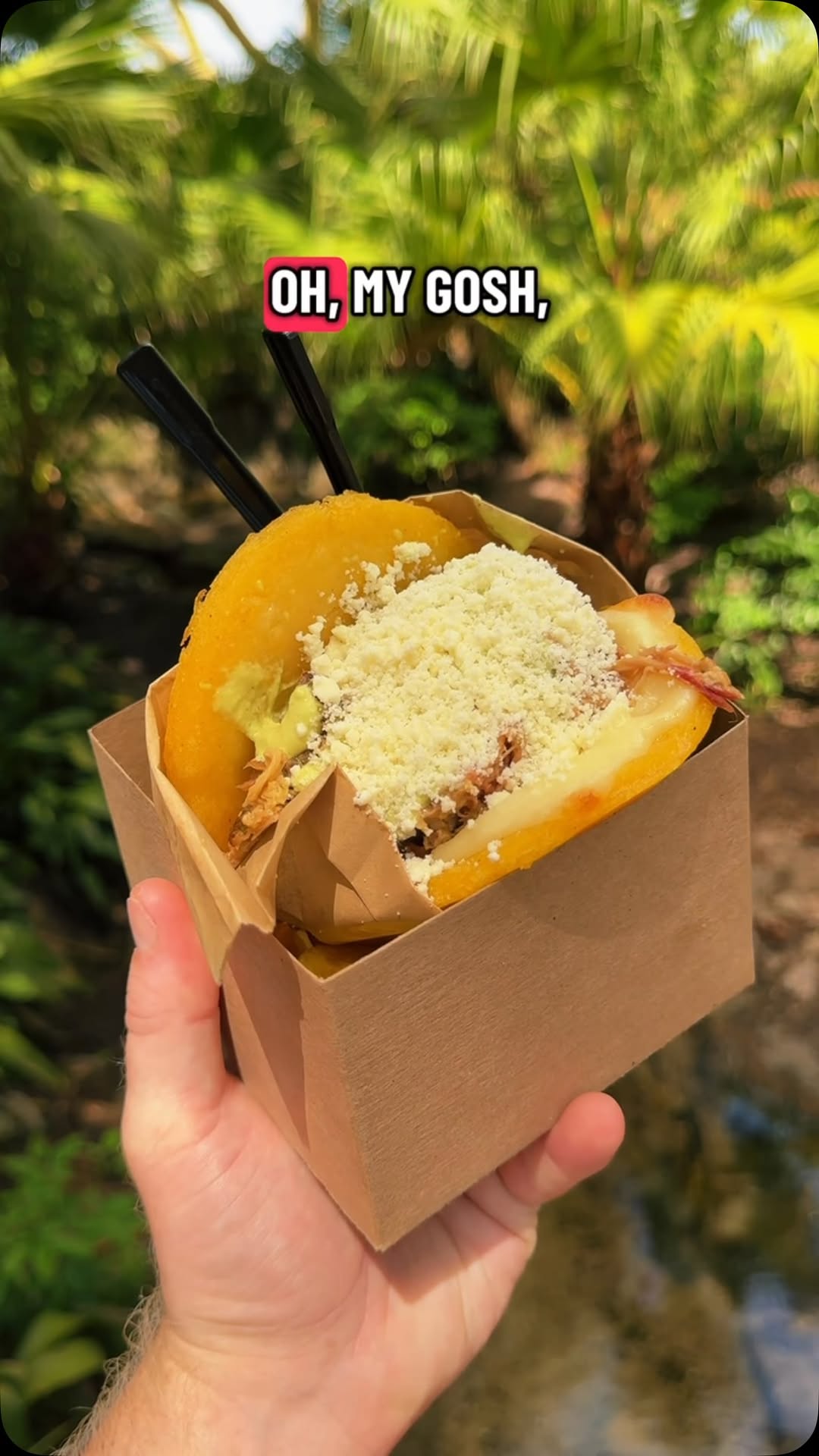 Explore Orlando🌴, Disney's Animal Kingdom Theme Park