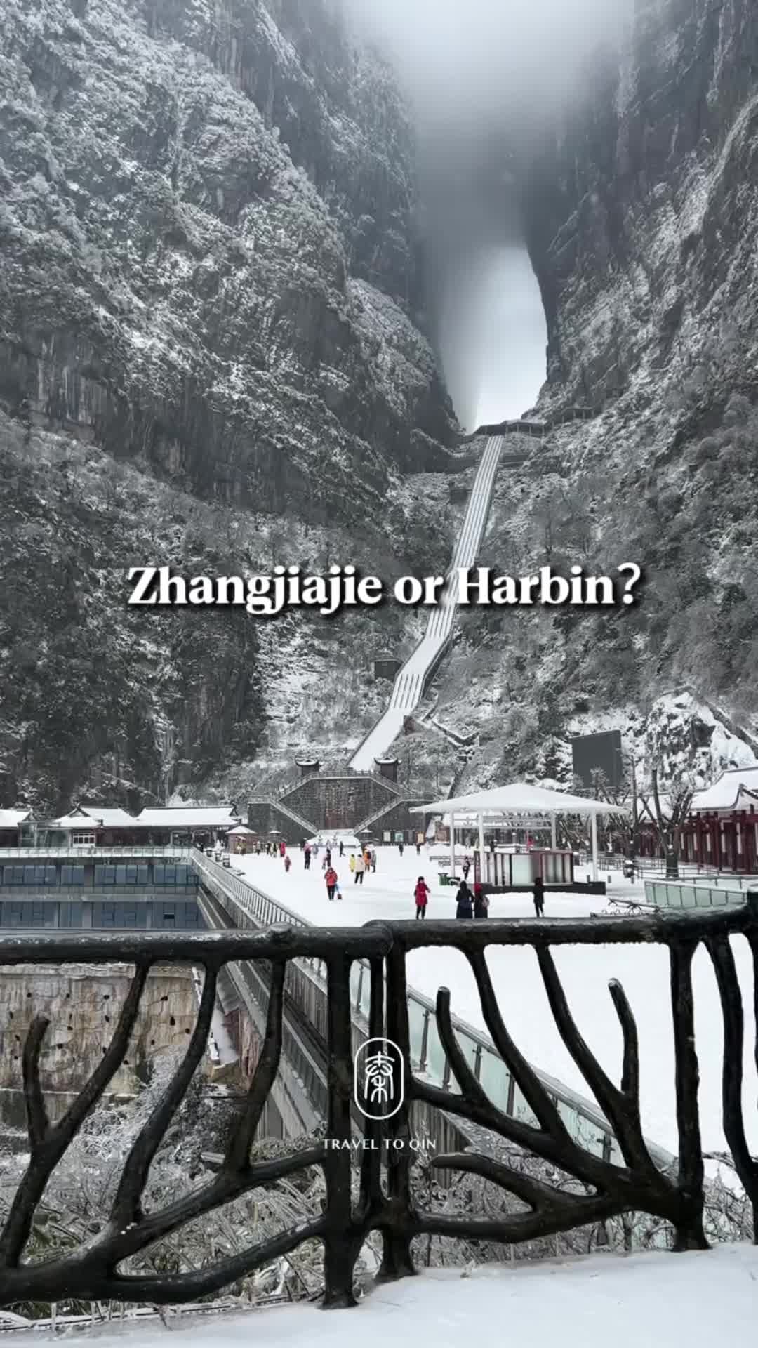 Traveltoqin, Harbin