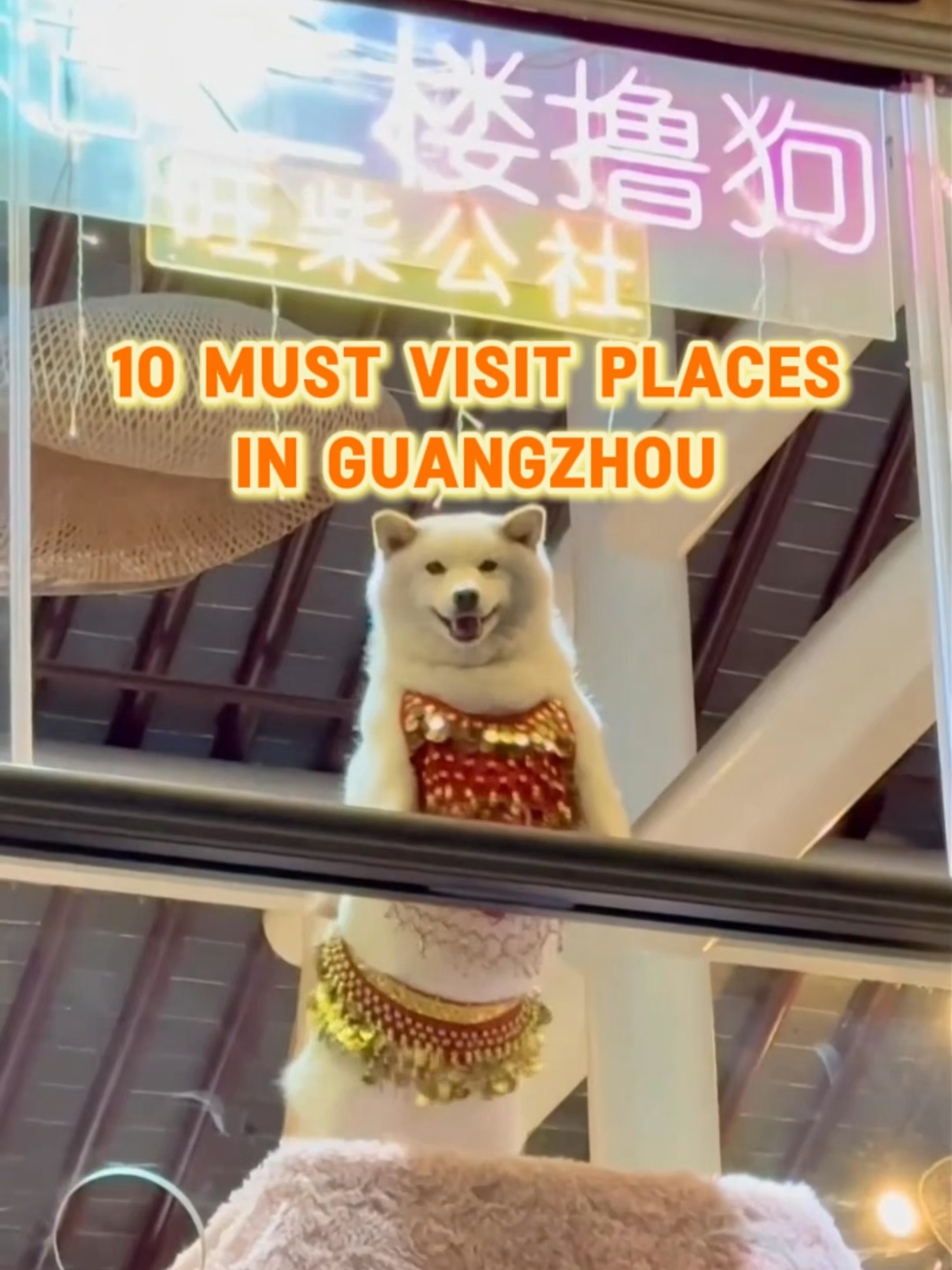 Traveltoqin, 广州塔
