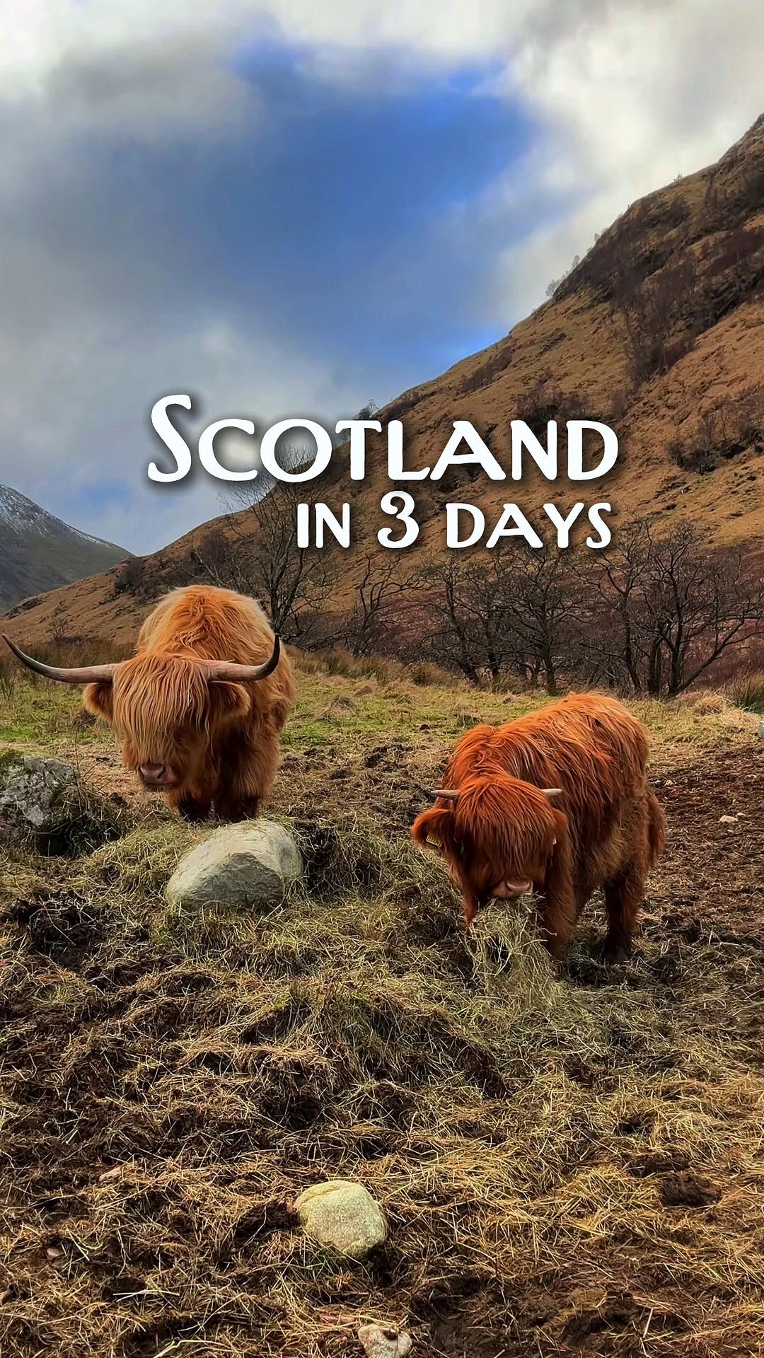 Experience Scotland's Wild, Glencoe