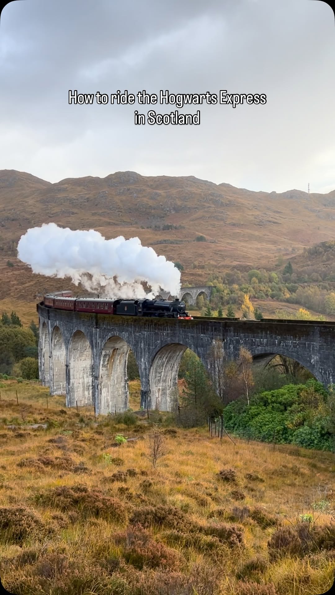 Diana🇮🇹, Glenfinnan Viaduct