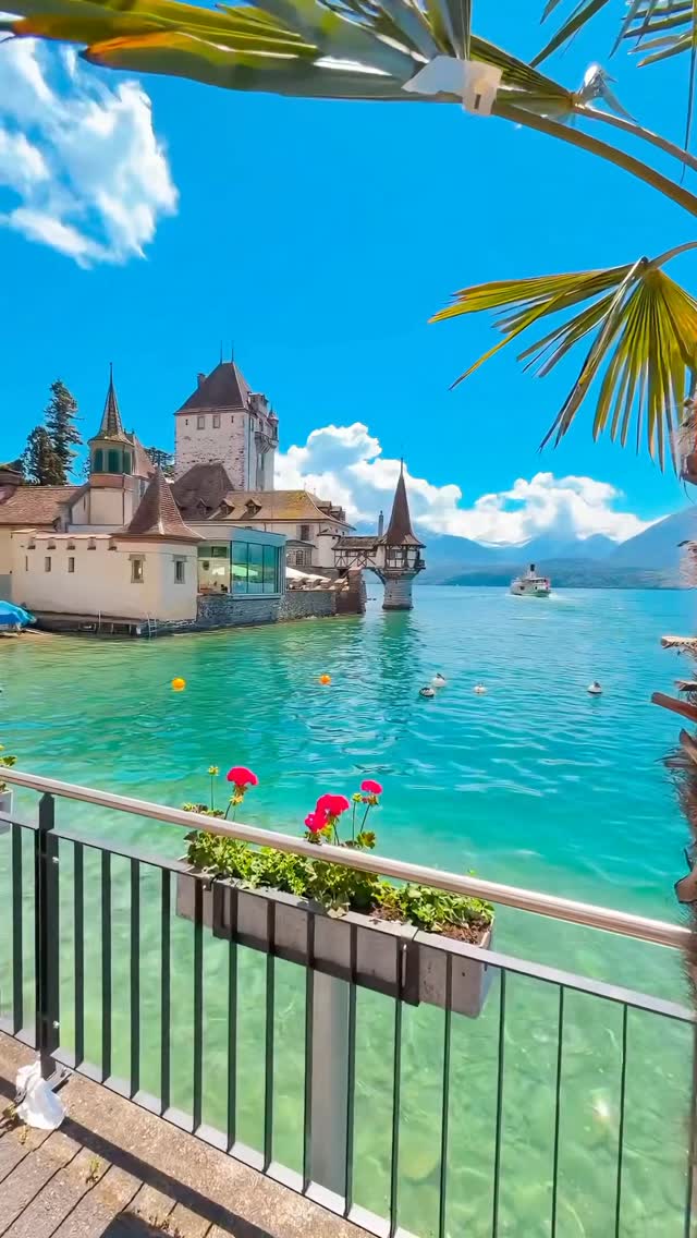 Tanja Widmer, Thun