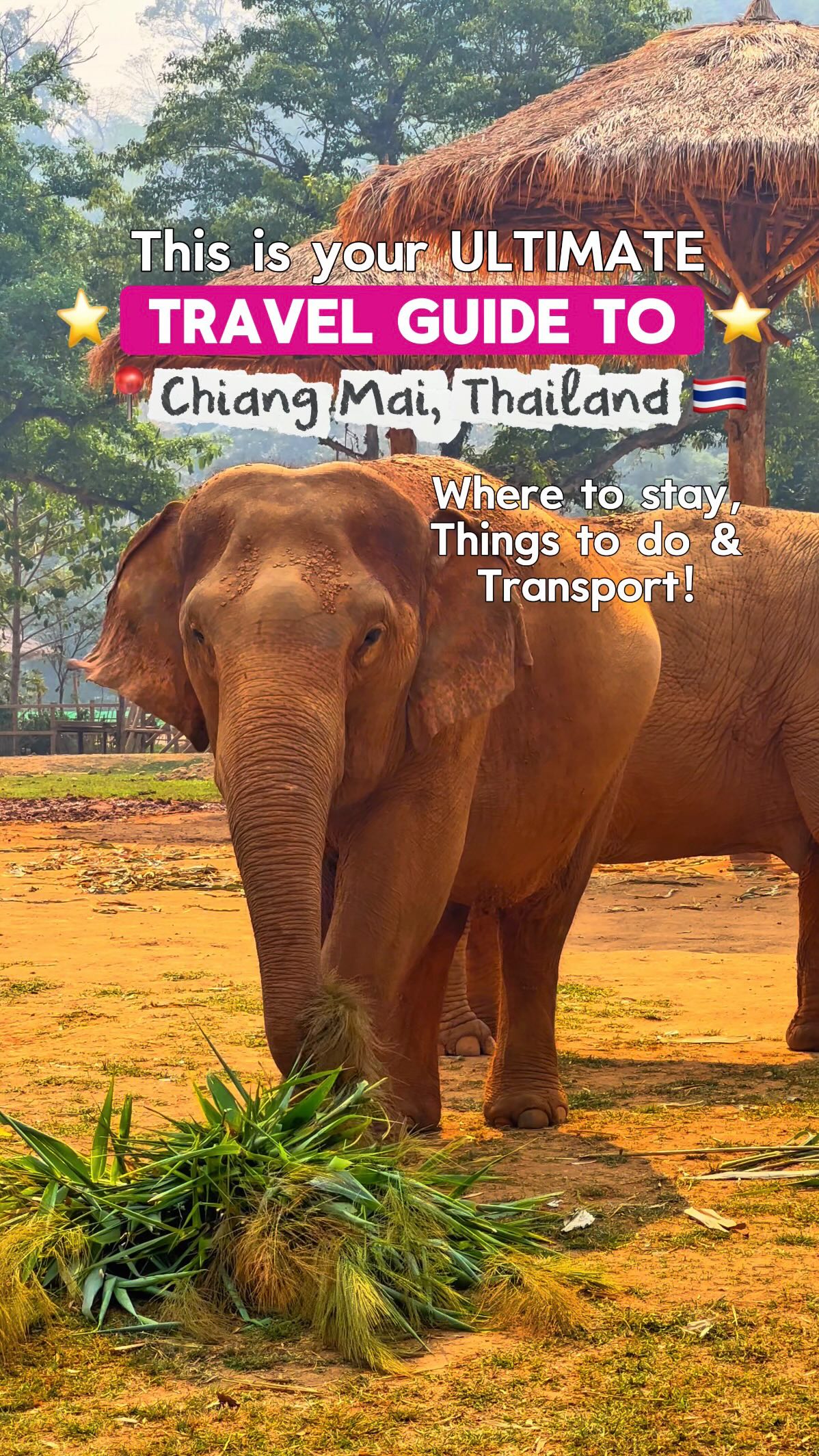 Emma & Tyler 🌍✈️ | Asia Travel Content | Bangkok 🇹🇭🫶🏻, Wat Chedi Luang