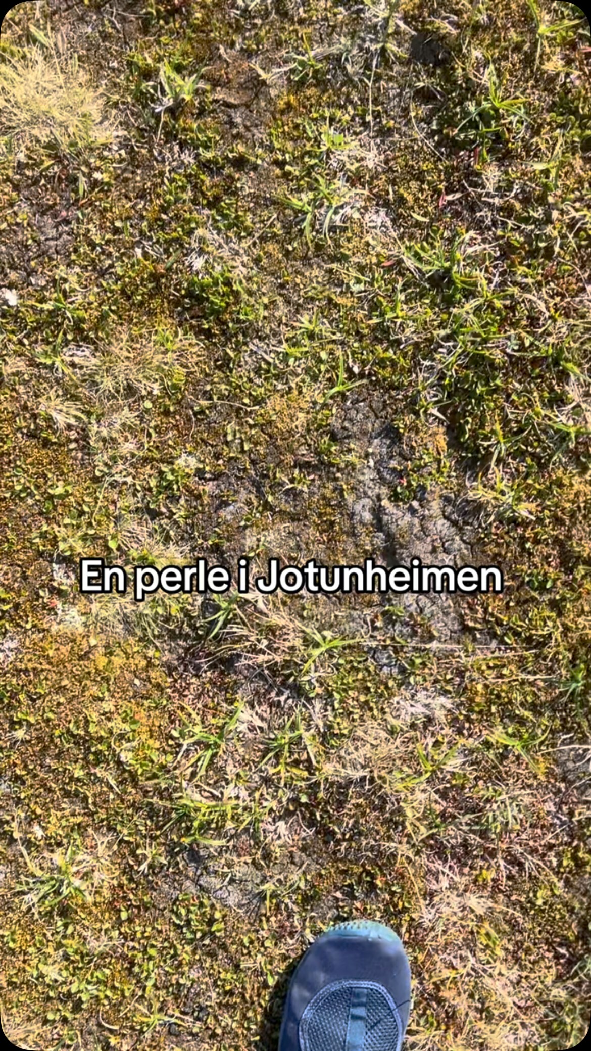 Skjulte Perler Norge, Bøverbrean