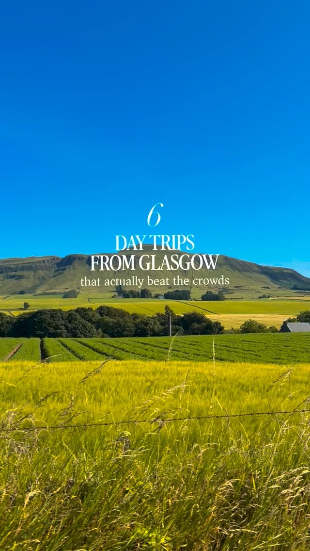 Abia | Scotland 🏴󠁧󠁢󠁳󠁣󠁴󠁿, Cupar