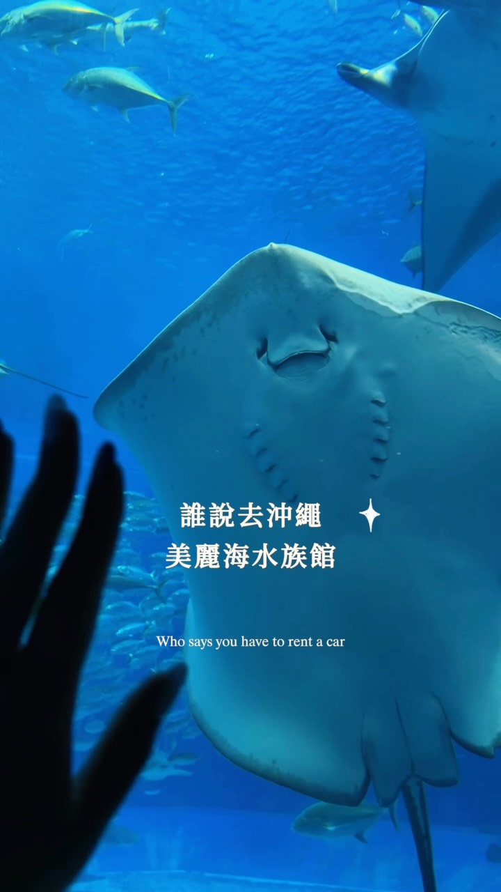 𝐏𝐮𝐦 🍽️ 日本旅遊美食分享, Okinawa Churaumi Aquarium