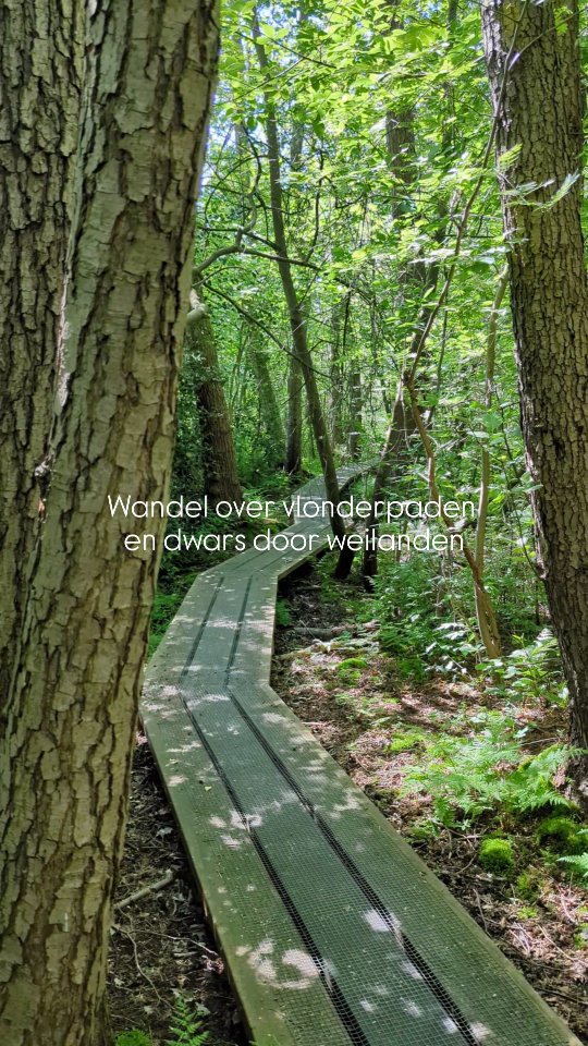 NL Wandelroutes 🇳🇱 | Pascal, Naardermeer