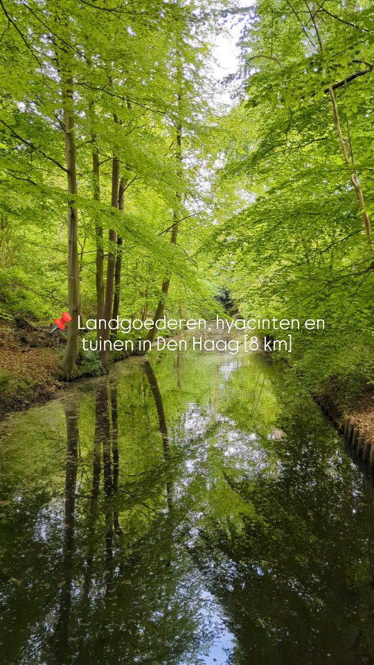 NL Wandelroutes 🇳🇱 | Pascal, Hyacintenbos Ockenburgh
