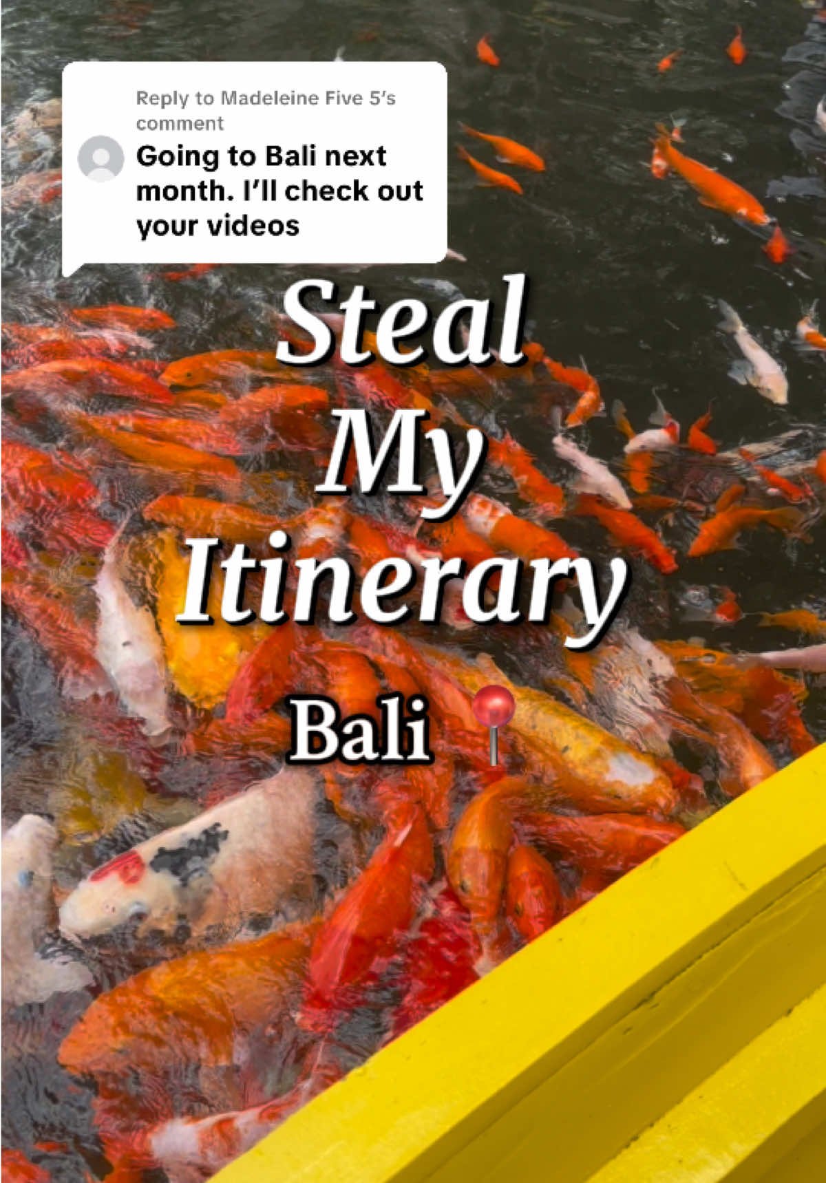 DateRatesNYC, Real Bali Swing