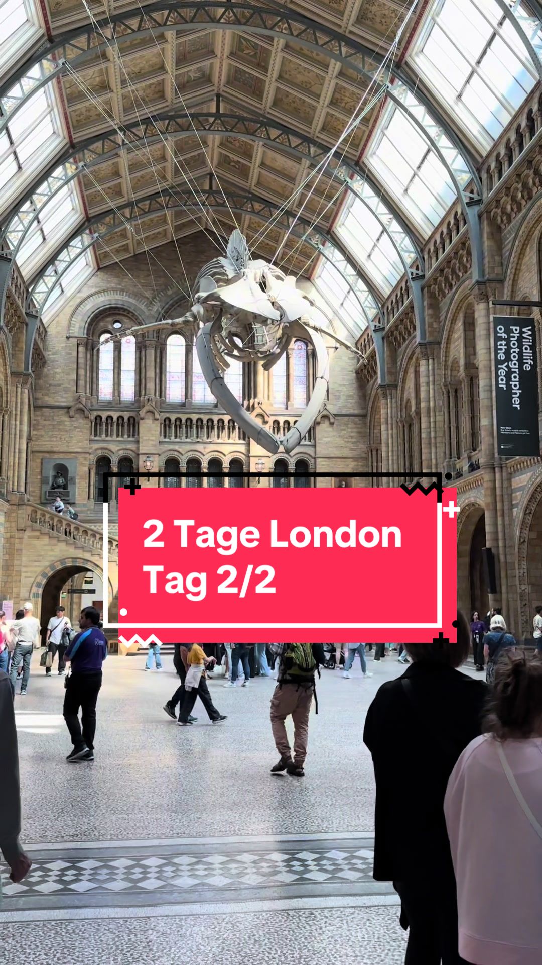 Travelbuddy ✈️ | Tips & Vibes, Buckingham Palace