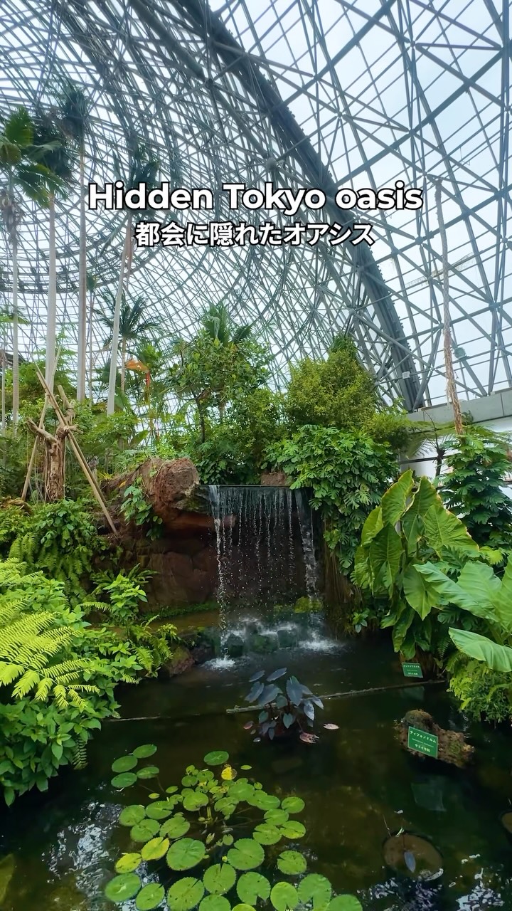 Bodhi and Kai, Daigo Fukuryumaru Museum