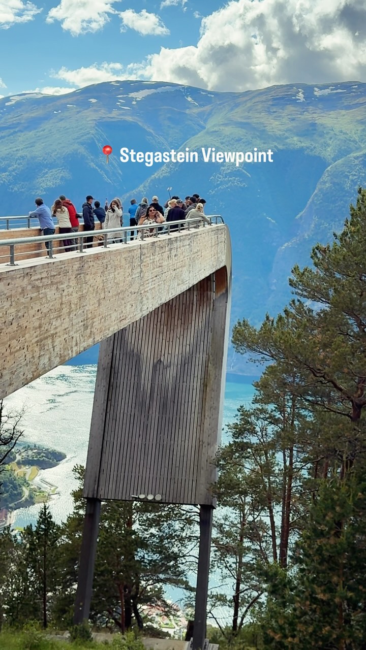 Reeva R Pathania, Stegastein