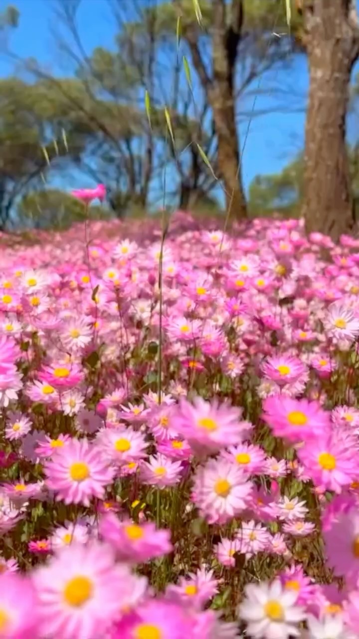 Princess Villamin & Mark Pido | Travel Couple, Shire of Perenjori