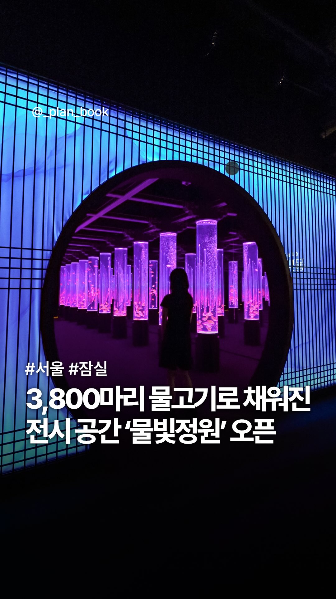 플랜북 | 카페 전시 팝업 맛집 숙소, LOTTE WORLD AQUARIUM