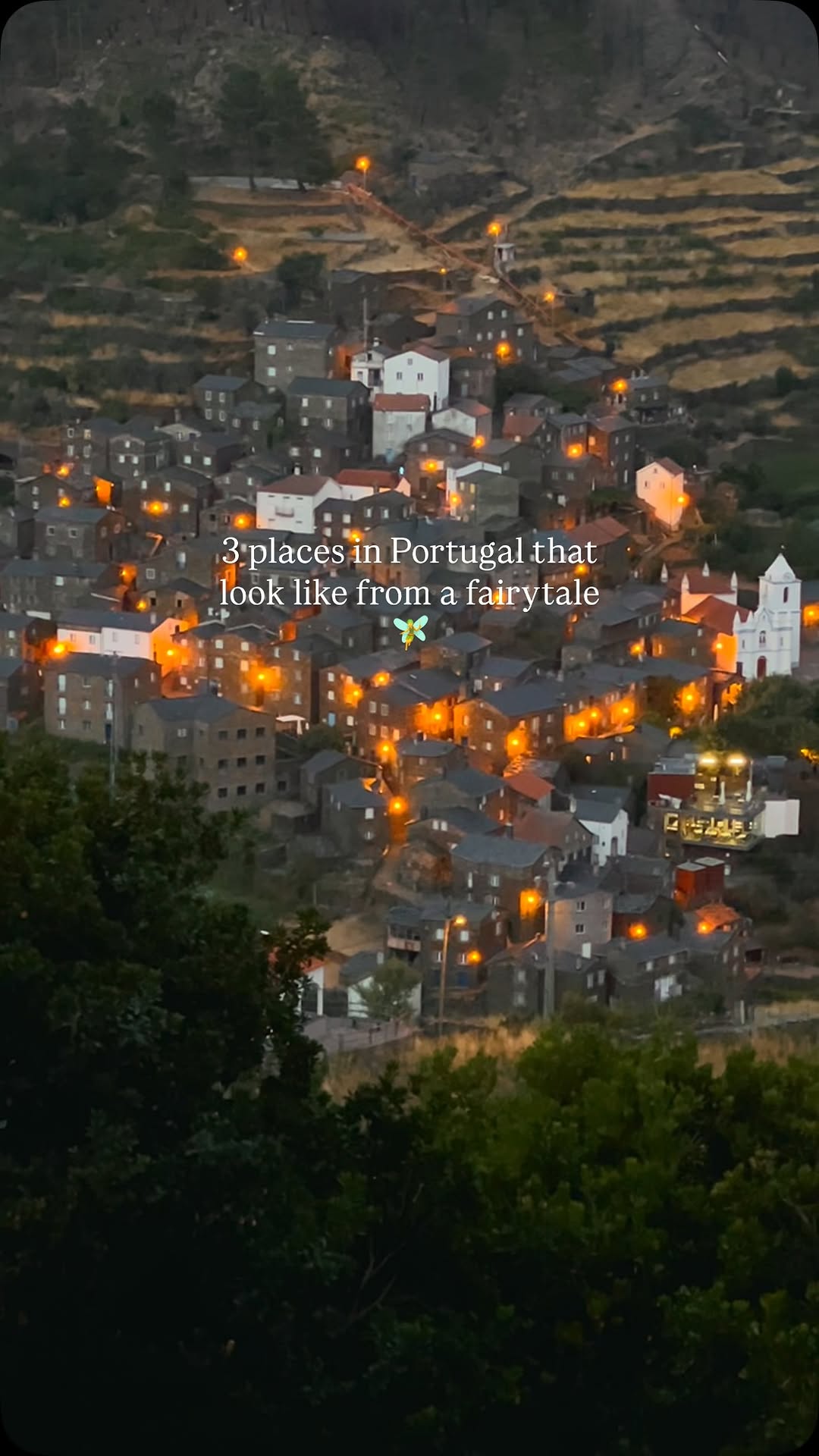 Photographer | Video creator, Buçaco National Forest