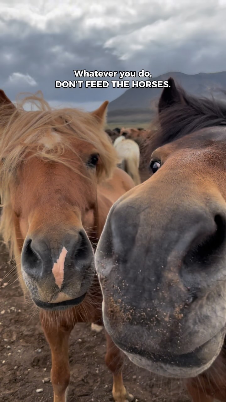 Guide to Iceland, Gullfoss Waterfall