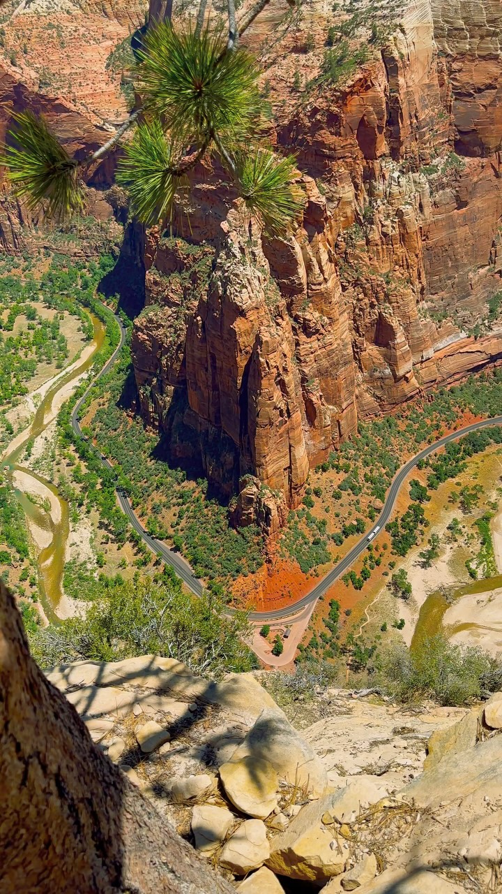 Helen Wanders, Zion National Park