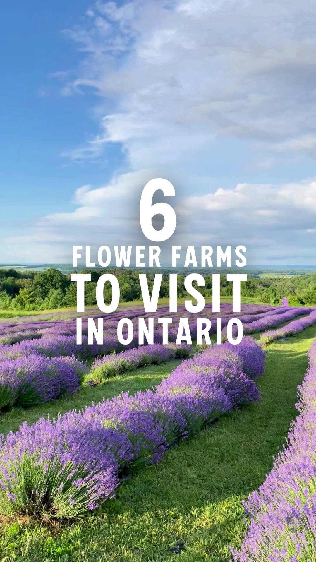 Destination Ontario, Andrews Farm Market & Winery