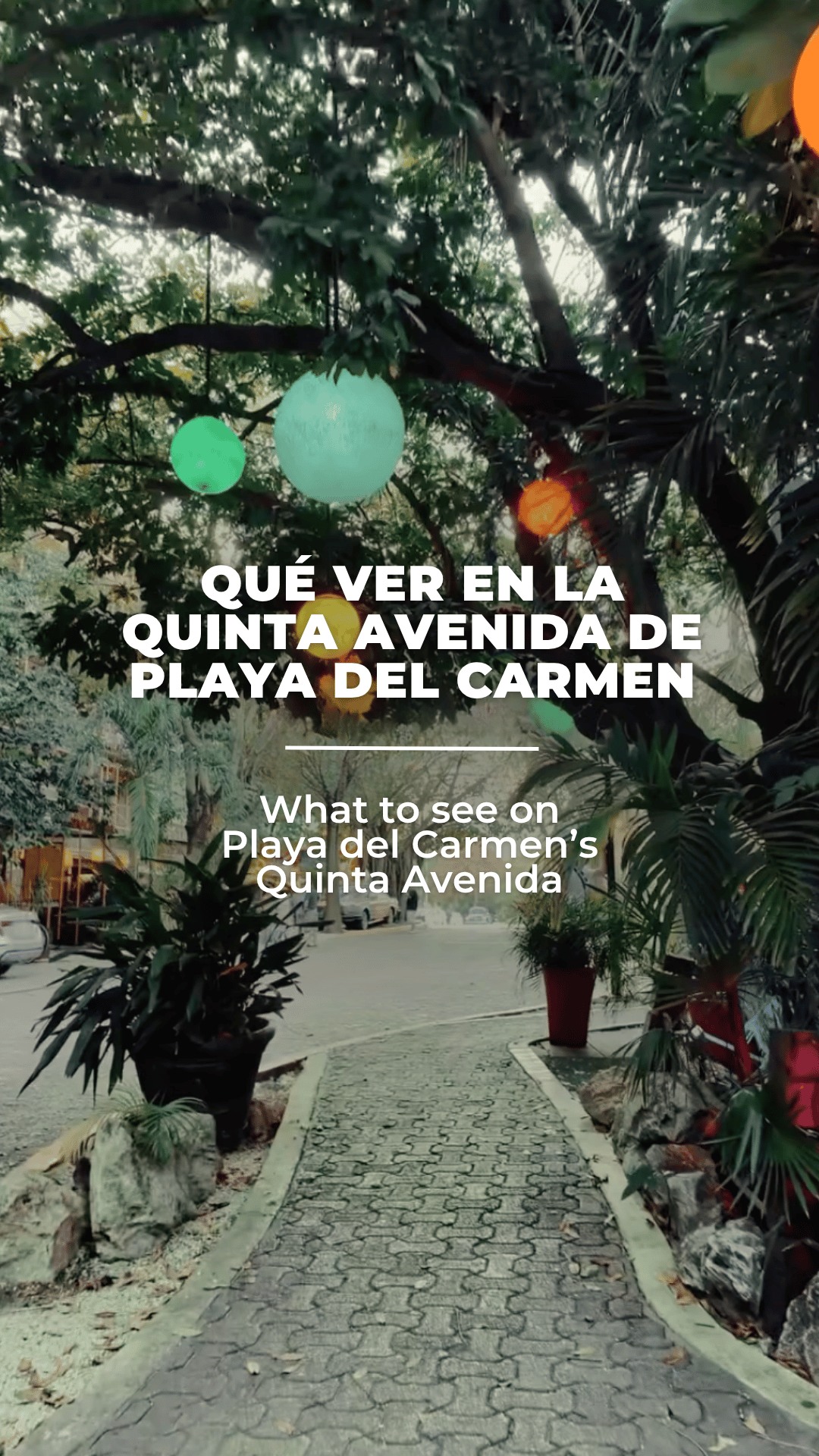 Playa del Carmen | Mexican Caribbean, Coco Bongo