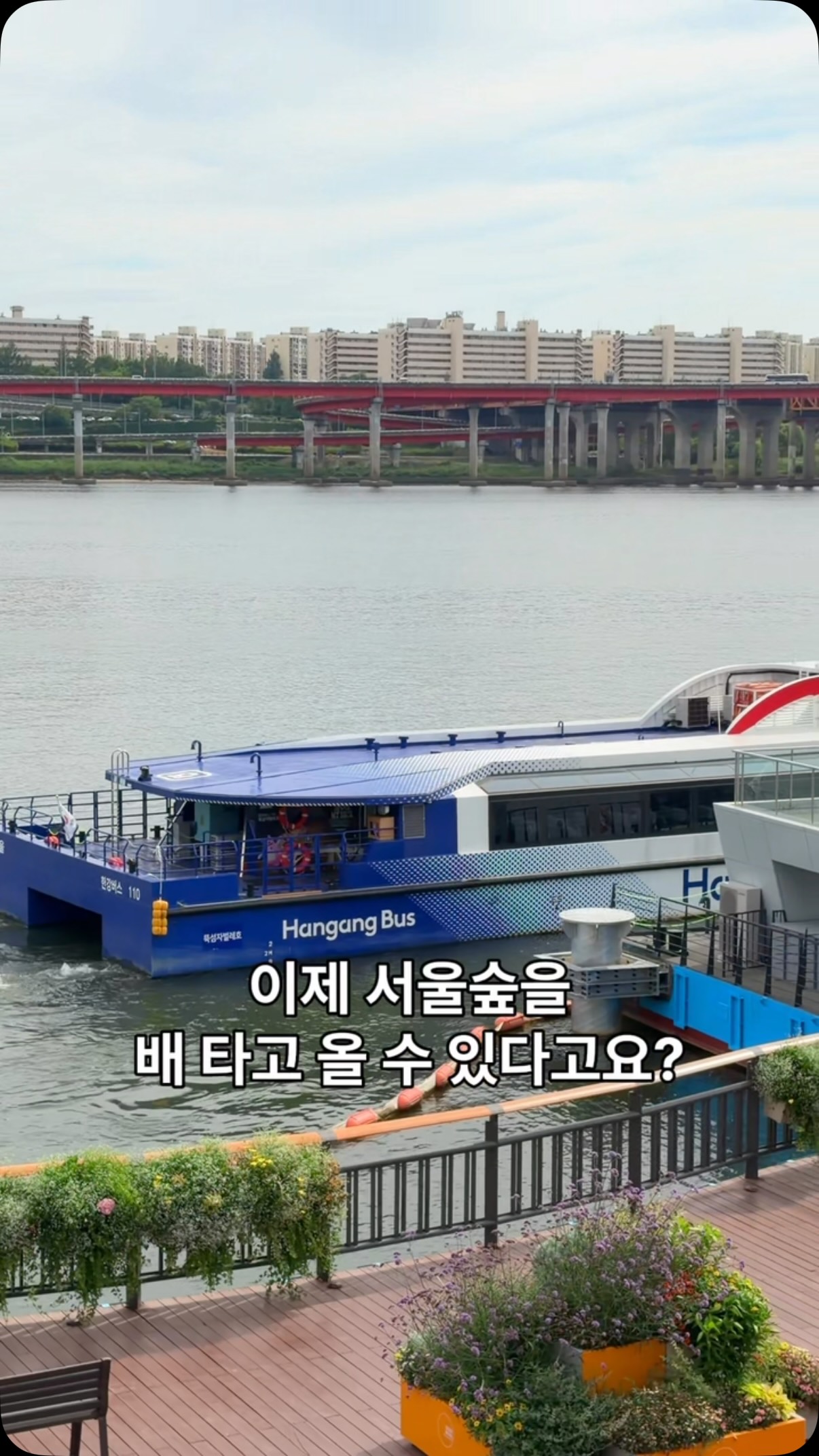 서울로컬스 | 서울도 우리에겐 로컬이야, N Seoul Tower