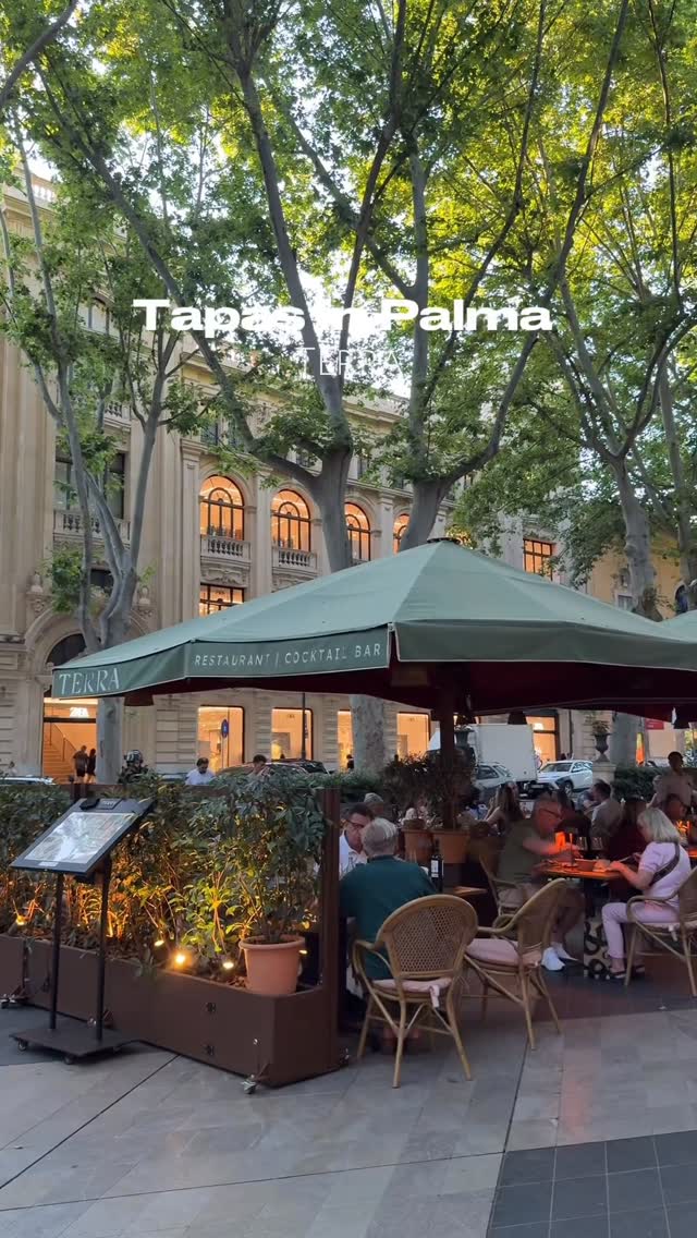 Mallorca Dream Guide by Izzy ☀️, Passeig del Born