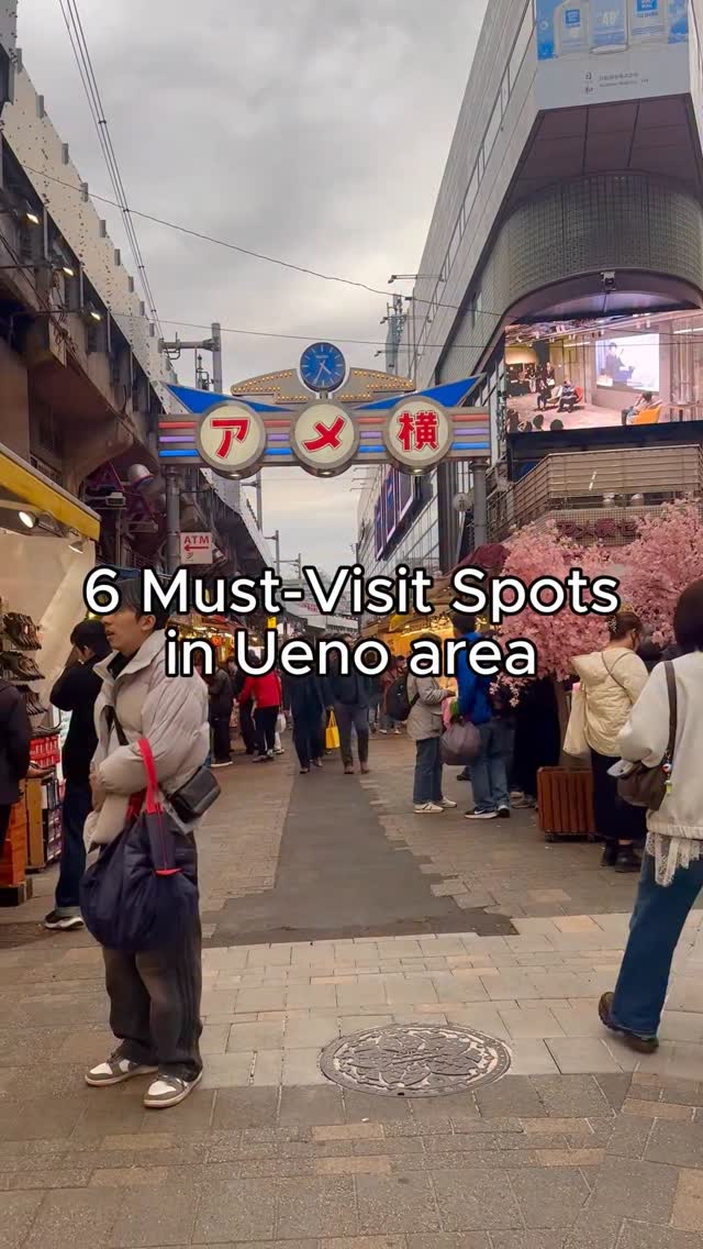 NaviSpot Shinjukuale, Ueno Park