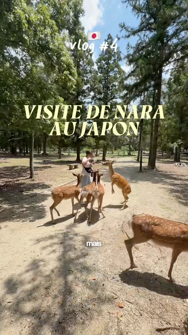Lajous matéo, Kofuku-ji