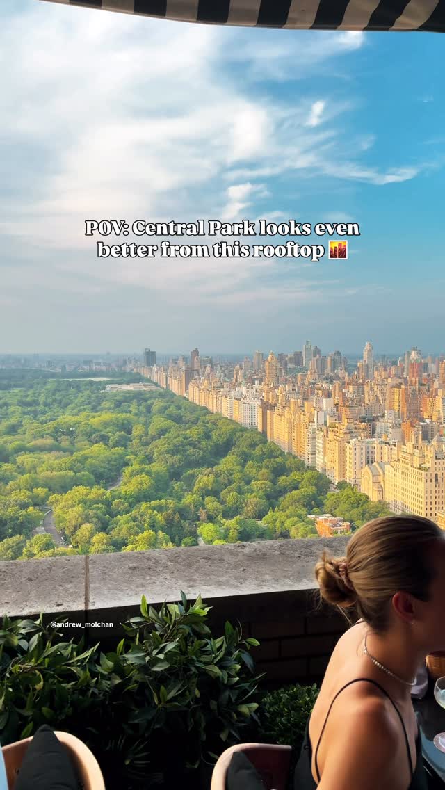 Andrew Molchan, Central Park