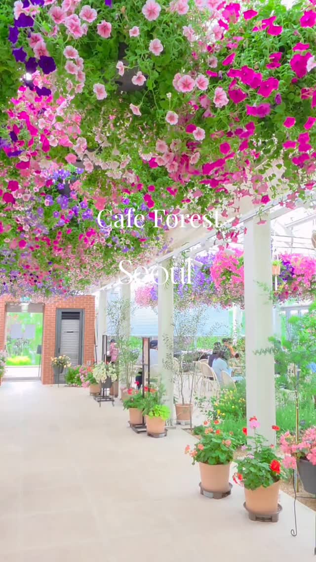 아리, 불암산 힐링타운