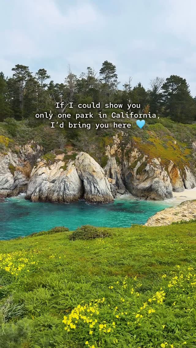 Asya Olson • California • Travel & Lifestyle, Point Lobos State Natural Reserve