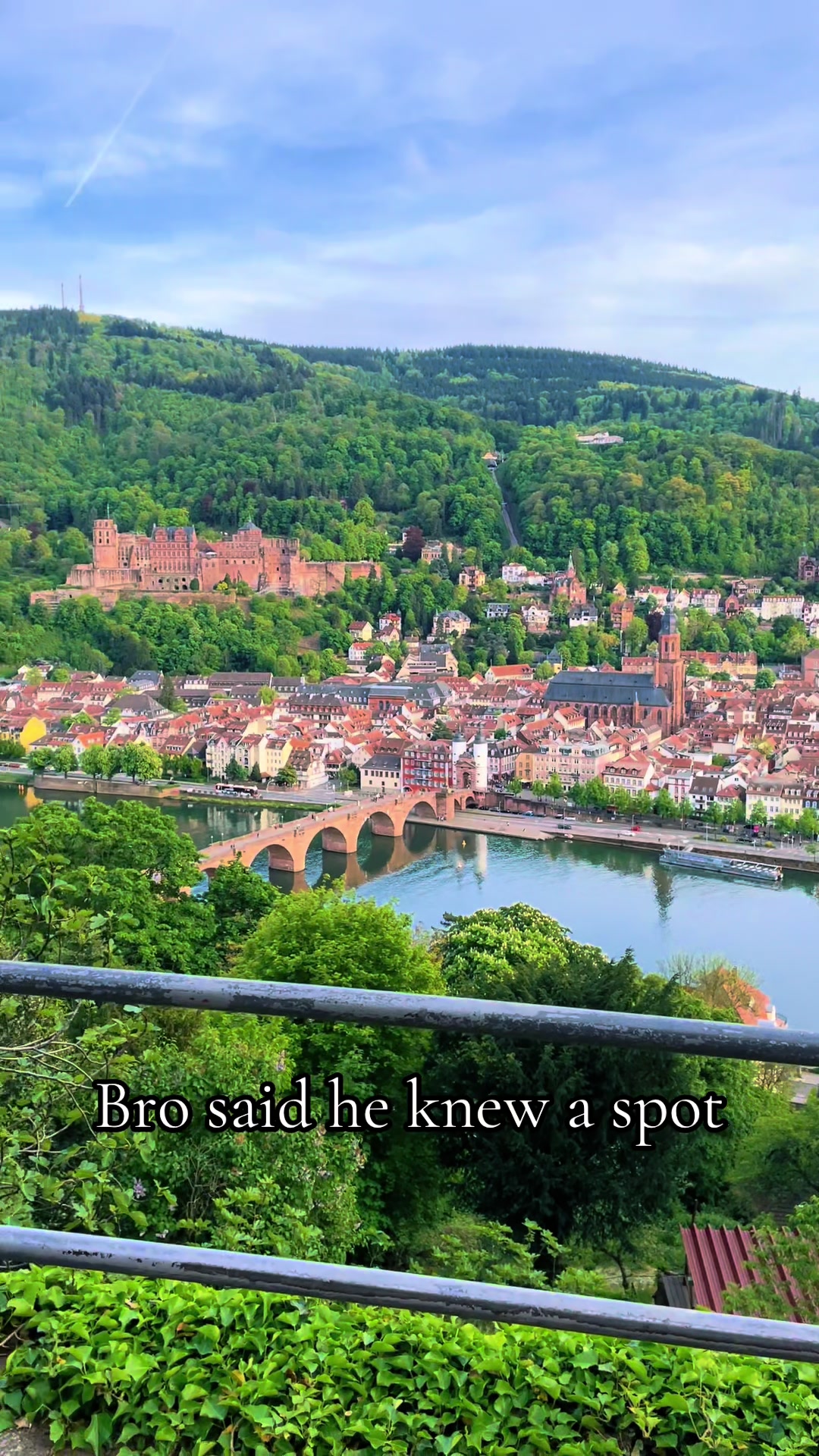 BrezelArthur ☻, Heidelberg Palace